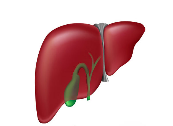 இதயத்தைப் பாதிக்கும் பித்தப்பை கற்கள் Galblader