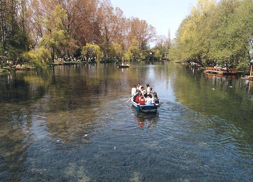 Drilon Pogradec... (Foto) Pogradec_drilon_park3