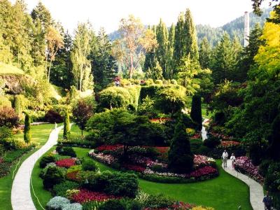 Dünyadaki Güzellikler Forrest