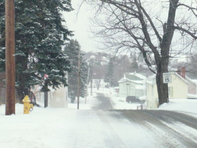 PICKS OF CARROLTOWN PA COVERED IN SNOW ( enjoy) Sam_0061