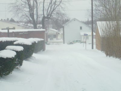 PICKS OF CARROLTOWN PA COVERED IN SNOW ( enjoy) Sam_0062