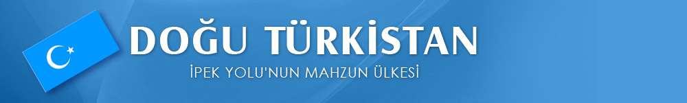 Dou Trkistan Devletleri Turkistan