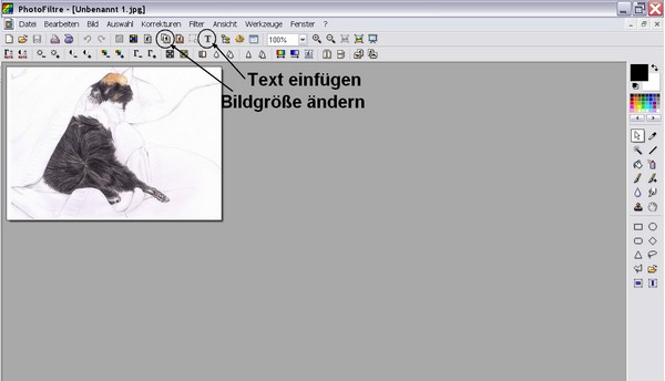 Bilder bearbeiten Text