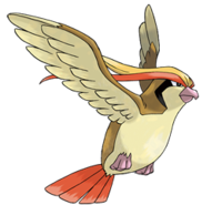 Mi Top 10 de pokemons Pidgeot