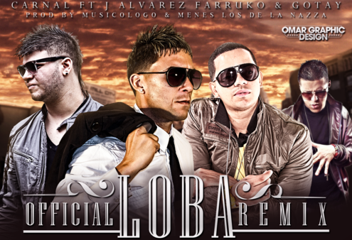 TOP REGGAETON FEBRERO 2012 Lobitaer