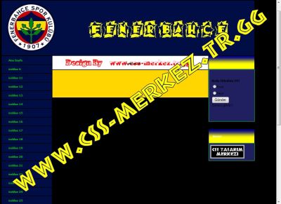 TAM 4 TANE FENERBAHÇE TASARIMI Fb-iceblue