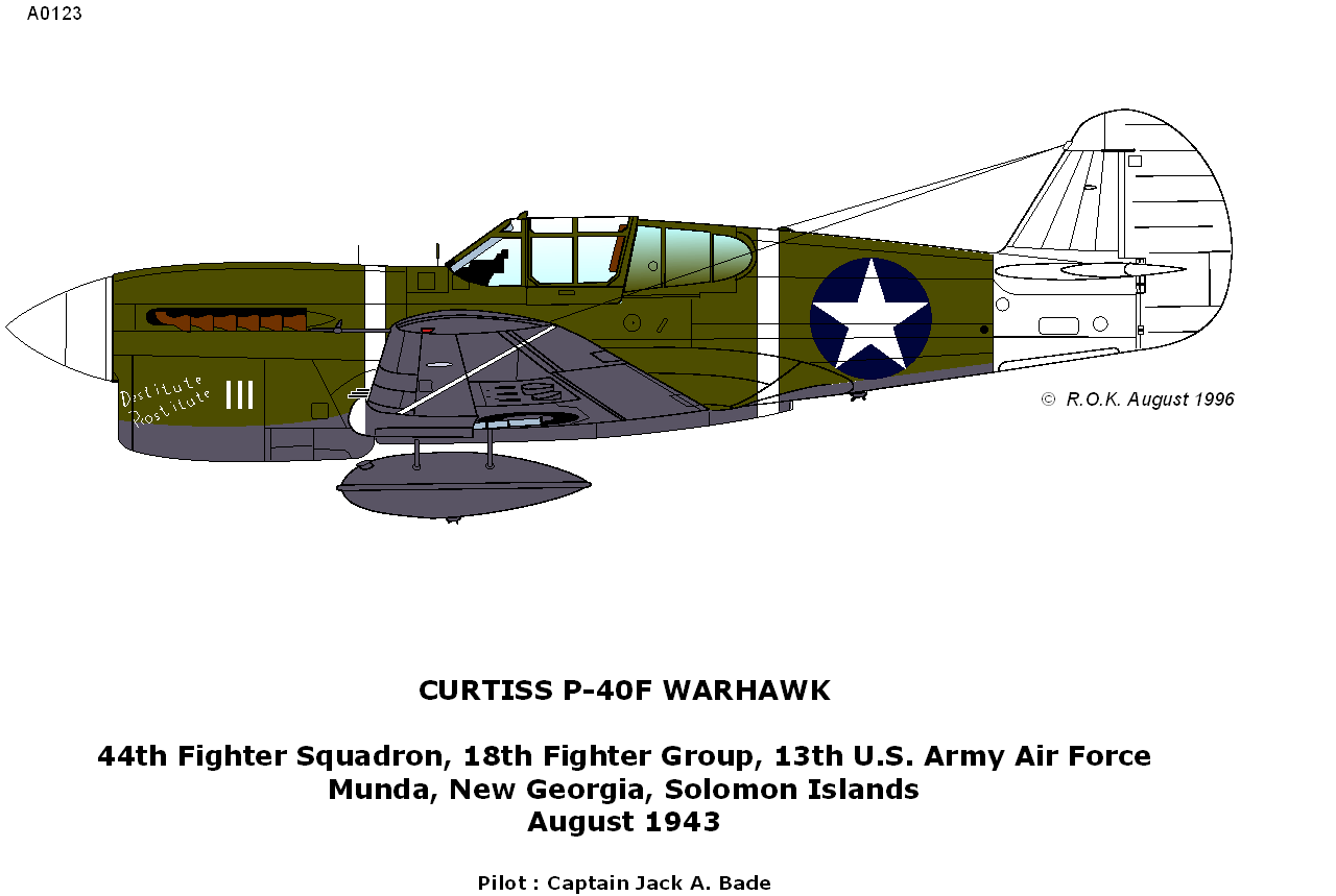 Curtiss P40E Warhawk [Hasegawa] 1/48  3_84