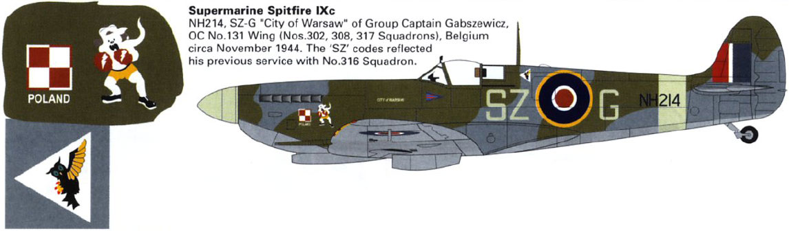 1/48 spitfire MK IX c cpt gabszewitz "city of warsaw"  9_285