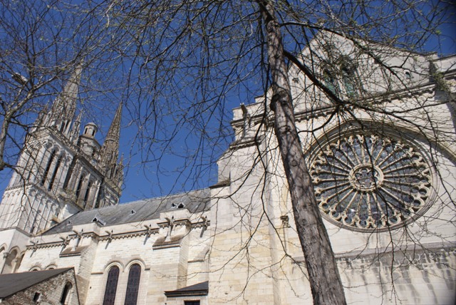 Maine et Loire (49) Angers, 52 km au Nord-Ouest de Saumur./PKG/SG/* 014-450fe2a