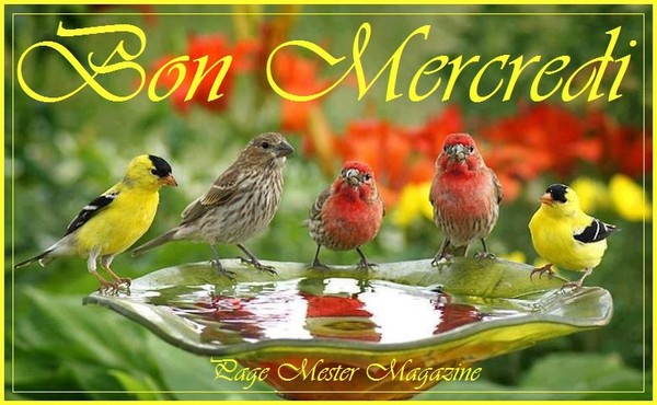 BON MERCREDI 28 MAI 57807245-45e1eb6