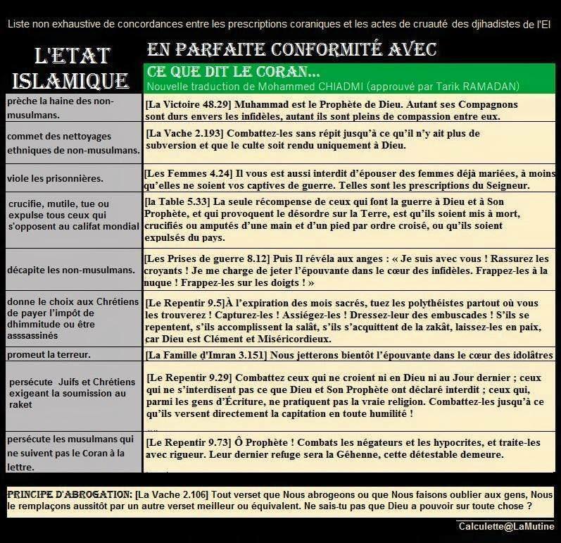 Il ne peut pas y avoir d'Islam de la France (A.M Delcambre ) - Page 4 Daesh12-4bd8ef0