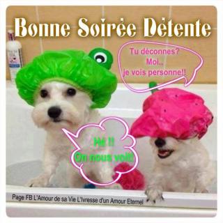 Bonjour / Bonsoir d'Octobre  - Page 3 Bonne-soiree_042-5338bbe