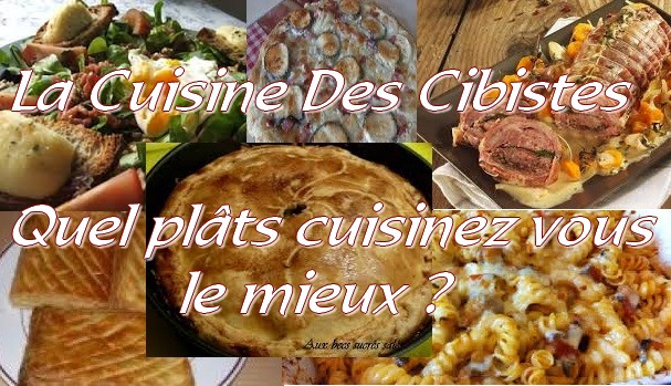  La cuisine des cibistes : Quels plats cuisinez vous le mieux Images-8--518a056