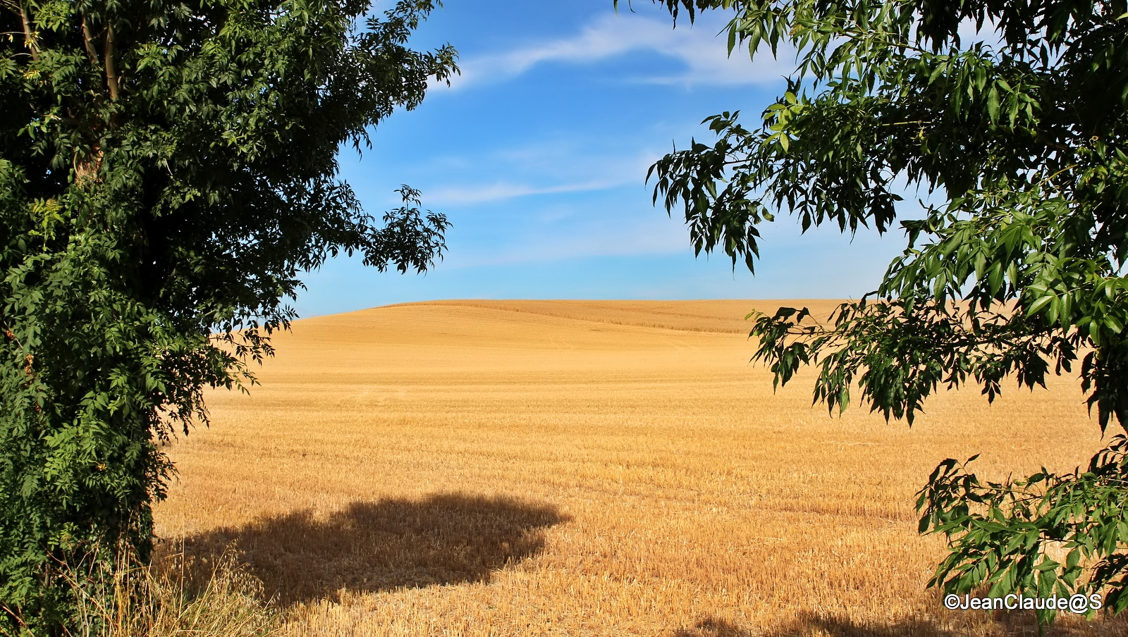 Le Marais Poitevin Img_0560_filtered-529c4c1