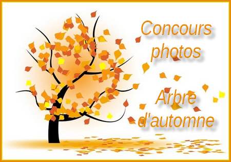 Vote concours arbre d'automne  0615029d-4d75295