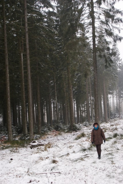 Z Belgique   un jour de janvier 2015 en Fagnes Ddsfd-057-499a791