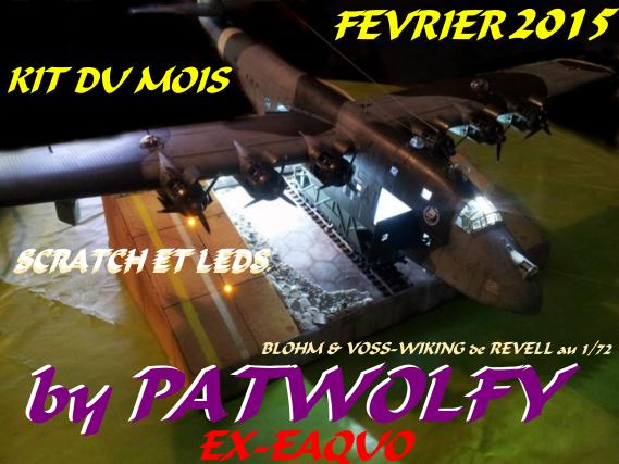 FEVRIER 2015 PATWOLFY Blohm& voss-wiking 1/72 & CUTTYSARK Xildcatfisch f4f.3s 1/48  et le Fiat icr 42 idrovolante 1/48 ex-eaquo A-49e3c40