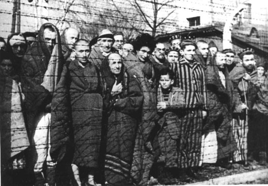Infos générales  - Page 6 Auschwitz2-53d9fb4