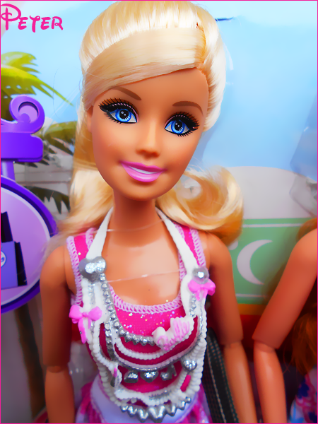My wonderland - Page 14 Barbie-dreamhouse-4977a4c