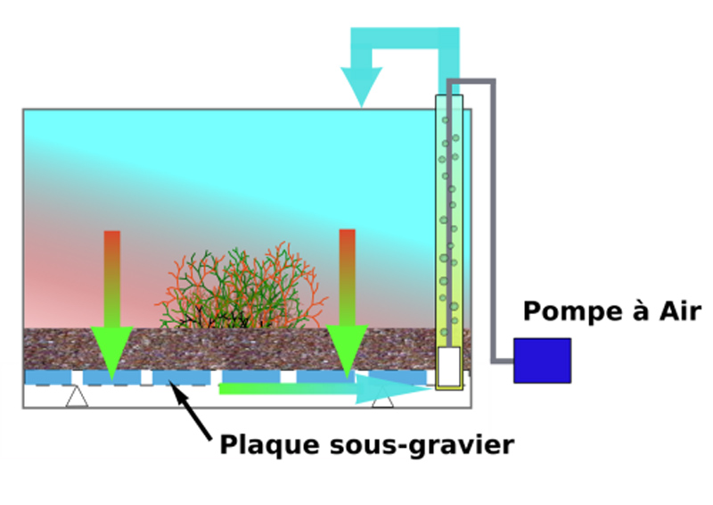 Bac 60L dry start method 100% DIY Filtre-sous-sable-1761c8f