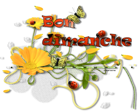 Bon dimanche 24e94741-3403b14