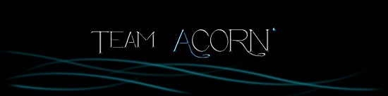 Liste des Teams Dirt Teamacorn-31b57a0-31f468b