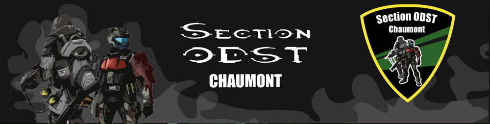 Section ODST Chaumon