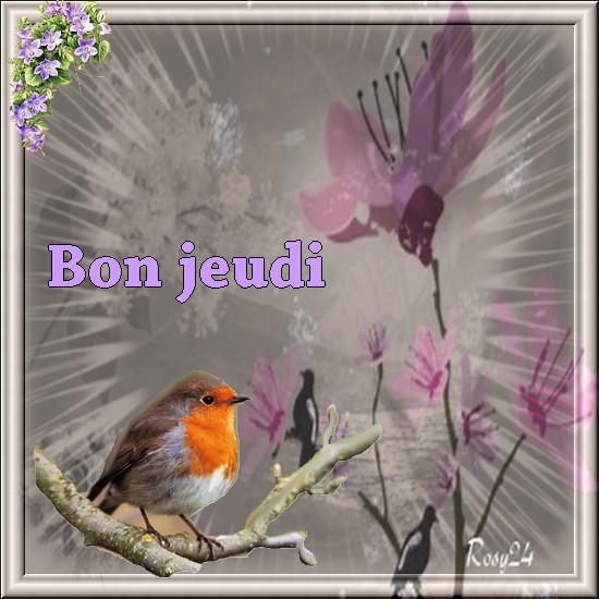 Bonjour/Bonsoir d'Aout 6183c708-3cfc17f