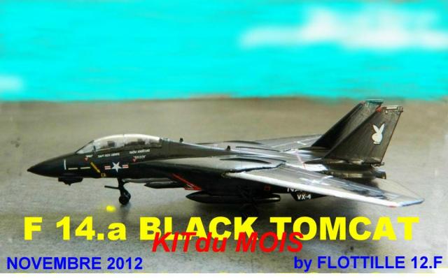 Novembre 2012  F-14A BLACK TOMCAT 1:144 By FLOTTILLE12F F-14a-2-3a4a153