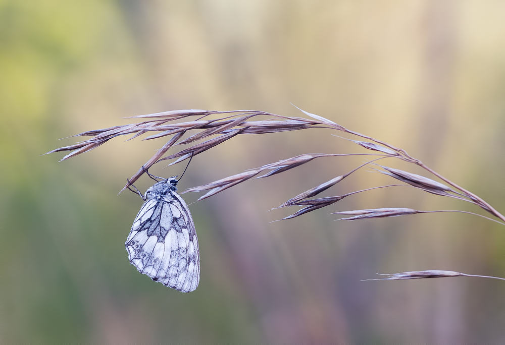 Matin en couleurs 2 _1300729-3fd2499