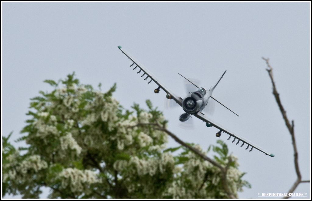 FR - Fly in LFBK à Saint Yan Img_2439-3ee6989