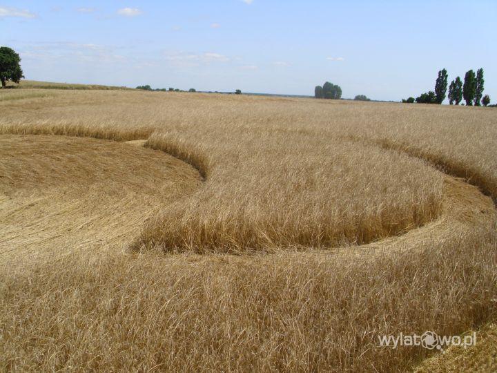 Crop Circles 2013. - Page 4 Pologne-01-3fd54ed