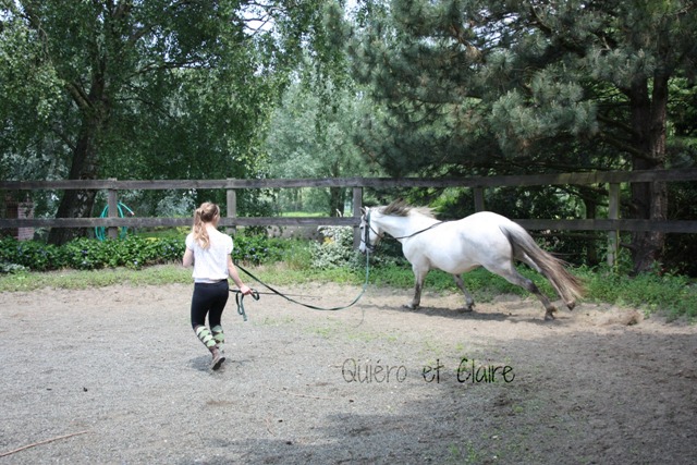 8 ans d'équitation..♥ - Page 7 Img_7208-3eba183