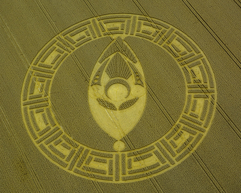 Crop Circles 2013. - Page 8 Gb1049-4069b64