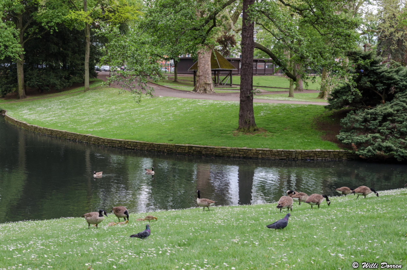 Parc de la Boverie ( 9 mai 2013 ) Liege Dpp_-parcl--0003-41b52b0