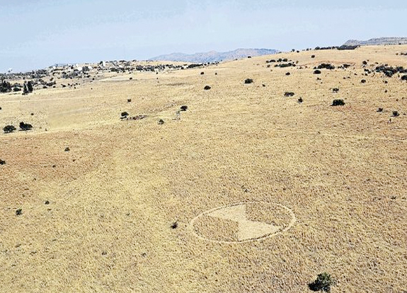 Crop Circles 2013. - Page 7 Afrique-du-sud-403da69