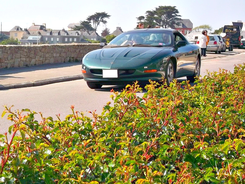 33eme Tour de Bretagne 2013 - Page 6 Firebird-buisson-3eb9d33