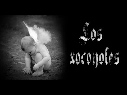 Los Xocoyoles........... Hqdefault