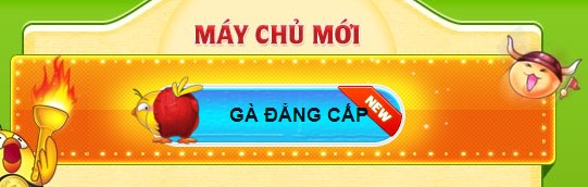 Gunny – Gà Đẳng cấp cho tay chơi thứ thiệt Gadangcap