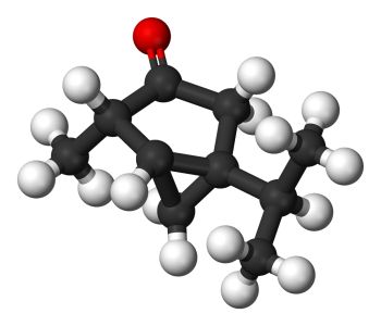 Ôde à l'Absinthe Beta-thujone-4be90