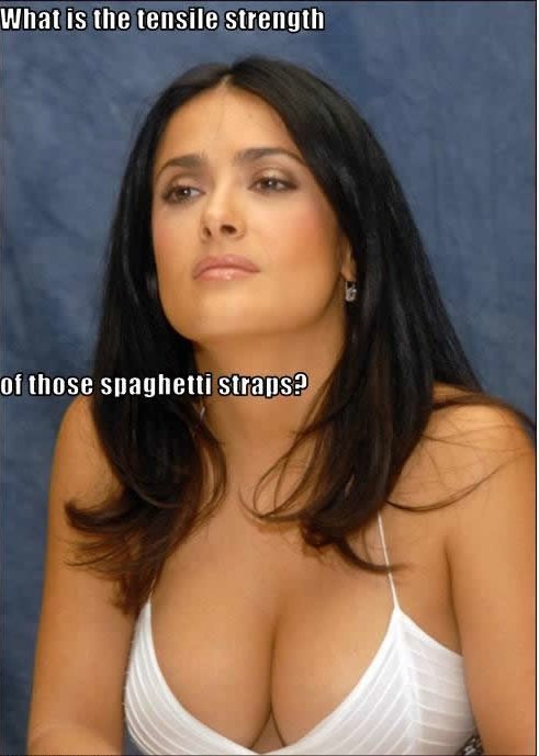 De nuevo el nuevo topic de las polleces encontradas por ahí - Página 3 Funny-pictures-auto-strength-salma-hayek-385146