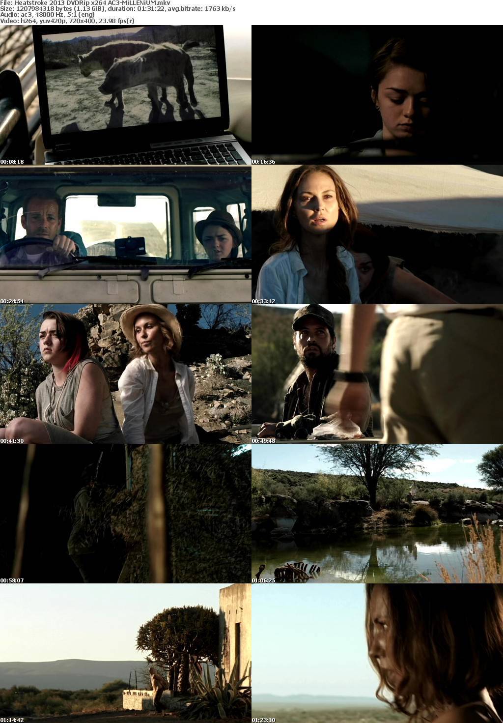 [RG] Heatstroke 2013 DVDRip x264 AC3-MiLLENiUM 1878960094611294f1a9d79a4a30bced700faa9f