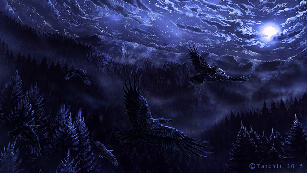 Night crows вороны