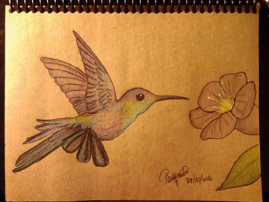 animals - La galería de Paula (firsthuntress)  - Página 3 Hummingbird_by_firsthuntress-dambxpp