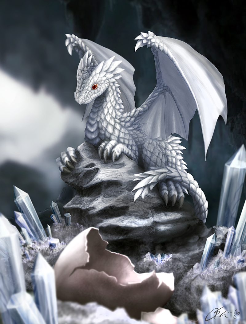 personajes - Mi Libro de Personajes~ White_dragon_hatchling_by_dashase-d5nco89