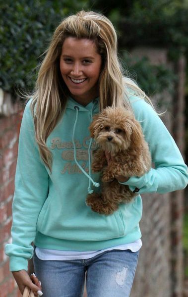 Ashley'nin Sevimli Köpeği İleTanışalım Mı ? Ashley_tisdale_shopping_3158_412_1240558925