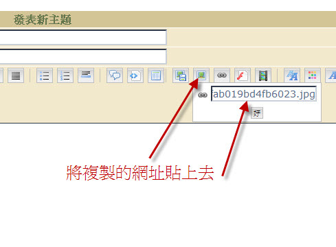 無法看圖與貼圖 (附詳細教學) T2l70cXgtcXXXXXXXX_%21%21199729759