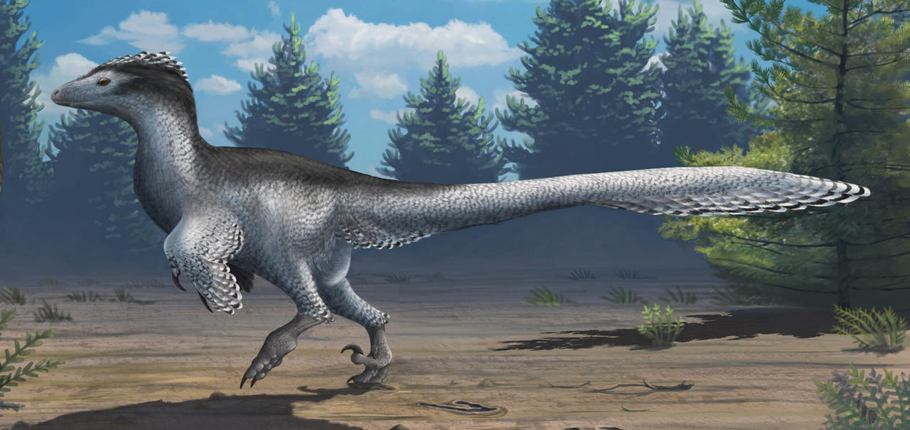 Awesome Paleoart  Deinonychosaur_tracks___closeup_by_ewilloughby-d56nlpd