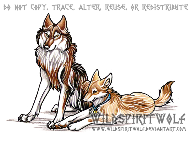 Crown War || Inscripciones Personajes ~ Razas Nacientes. Kafara_and_andurina_wolves_by_wildspiritwolf-d199paz