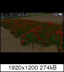 Erbsen, Mohn und Karotten Mod Game2009-10-1720-03-0932w7